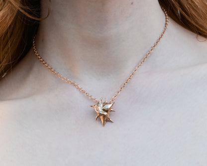 Thorny Heart necklace